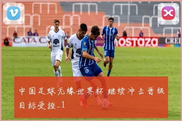 中国足球无缘世界杯 继续冲击晋级目标受挫_1