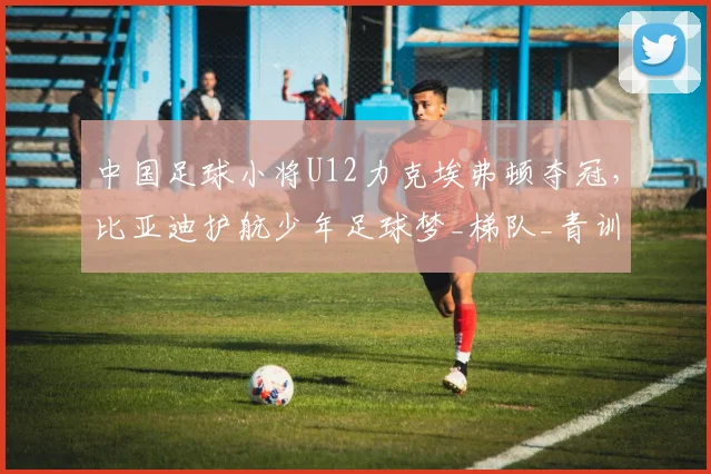 中国足球小将U12力克埃弗顿夺冠，比亚迪护航少年足球梦_梯队_青训_意甲